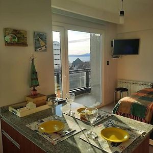 Nuevo Piso Centrico Con Vista Al Lago 2 O 3 Personas 1 Mascota Ok
